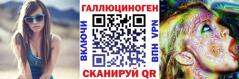 Купить где  Шлиссельбург  Галлюциногенные грибы Psilocybe 