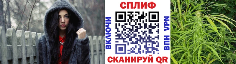 Купить закладки  Шлиссельбург  Каннабис White Widow 